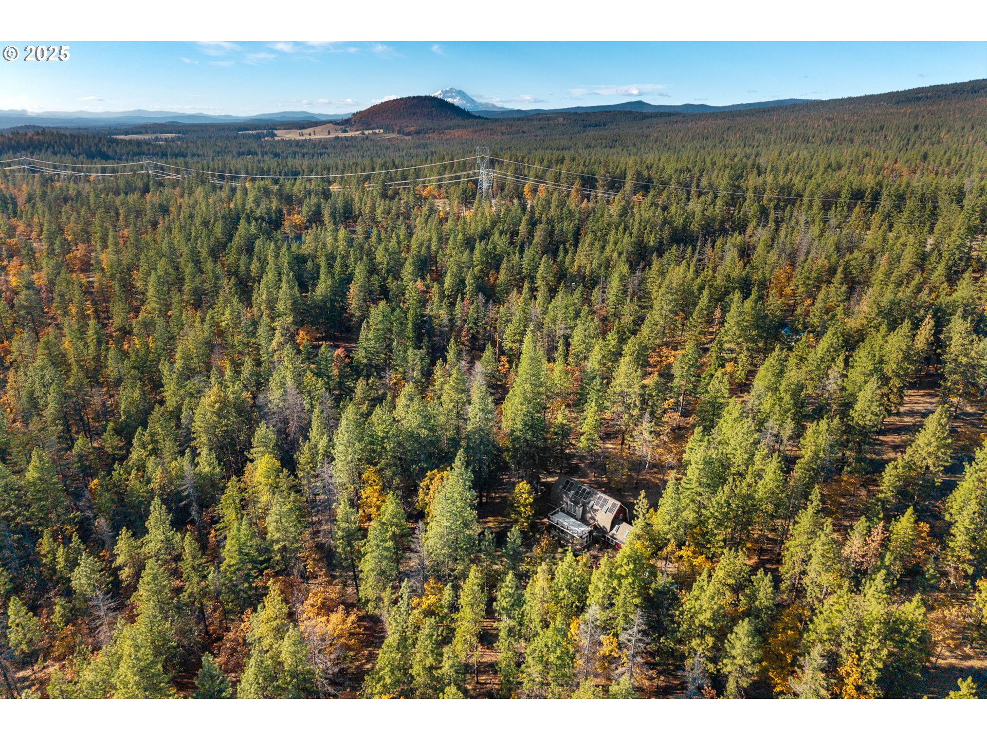 126 NOBLE FIR