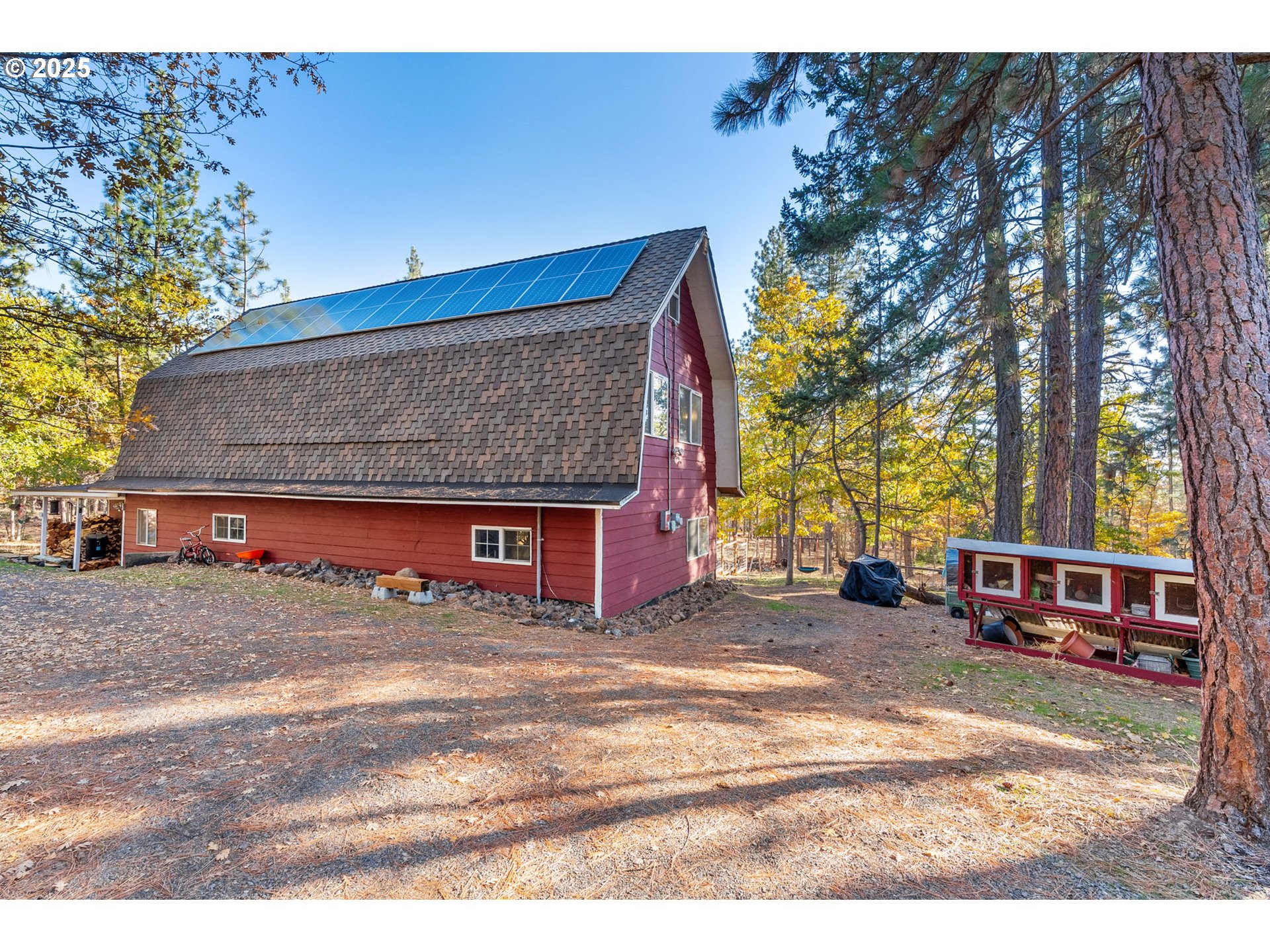 126 NOBLE FIR