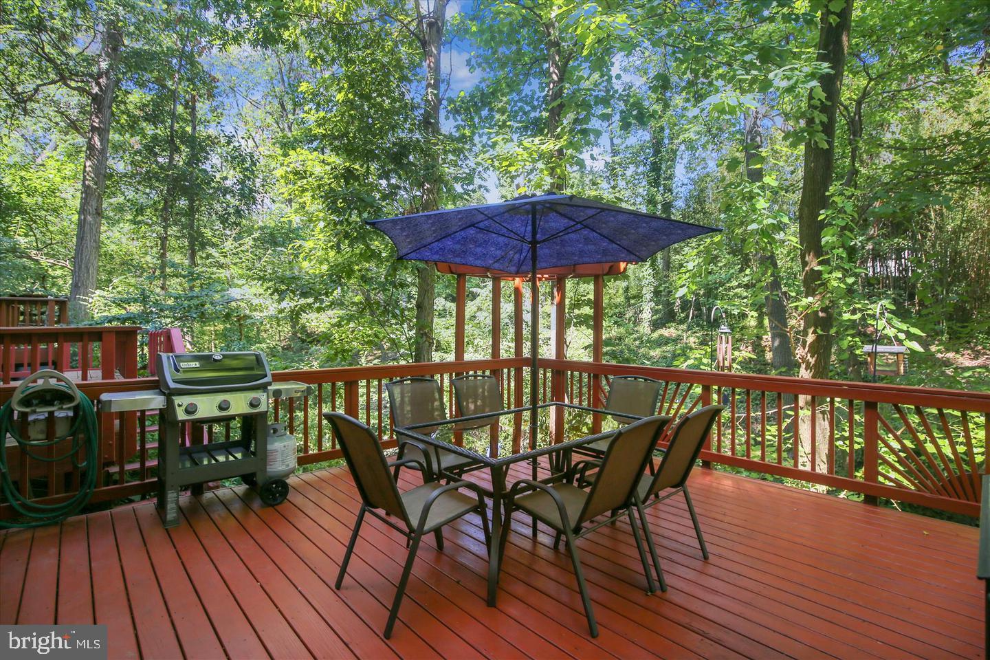 5006 DOMAIN PLACE