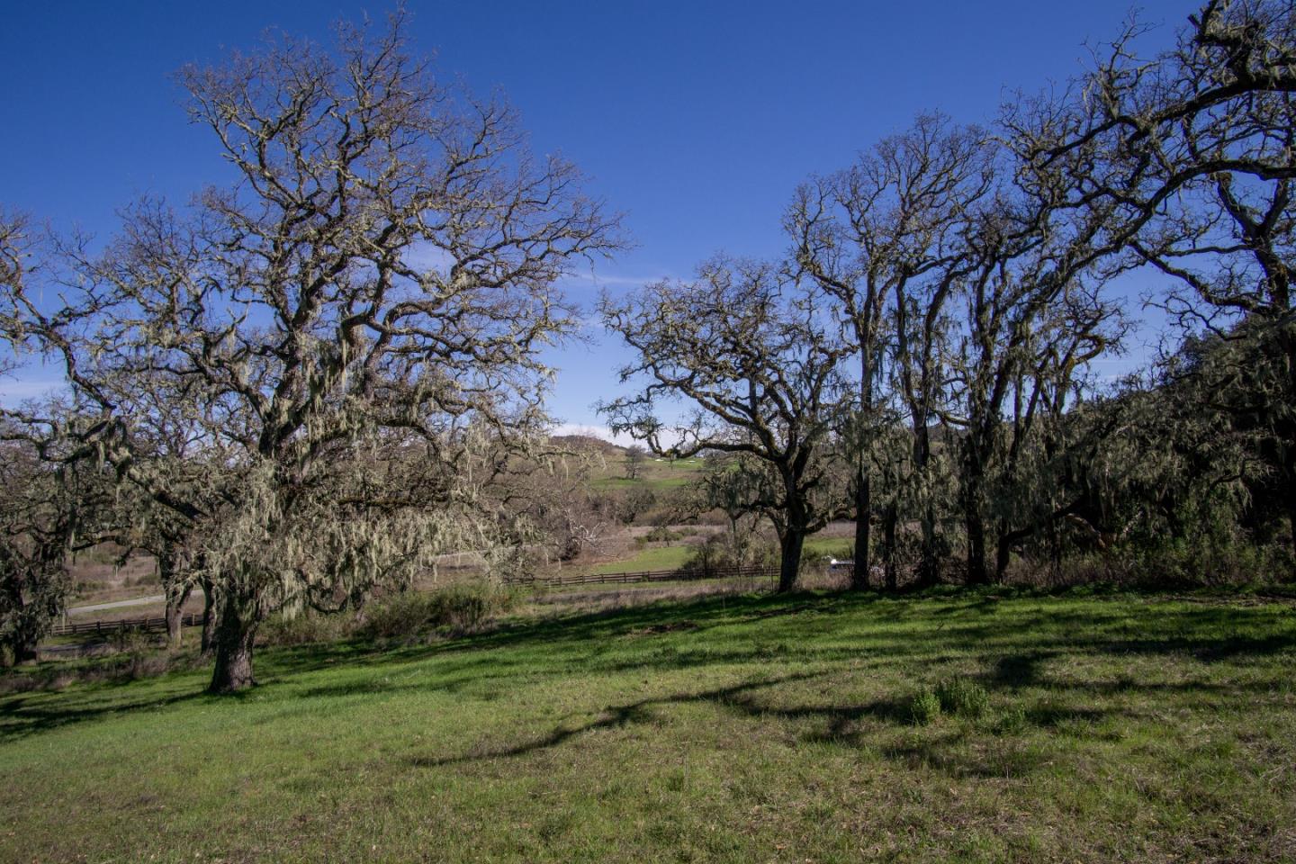 Grassy hillside with mature oak trees, a wooden fence, and rolling countryside beyond.