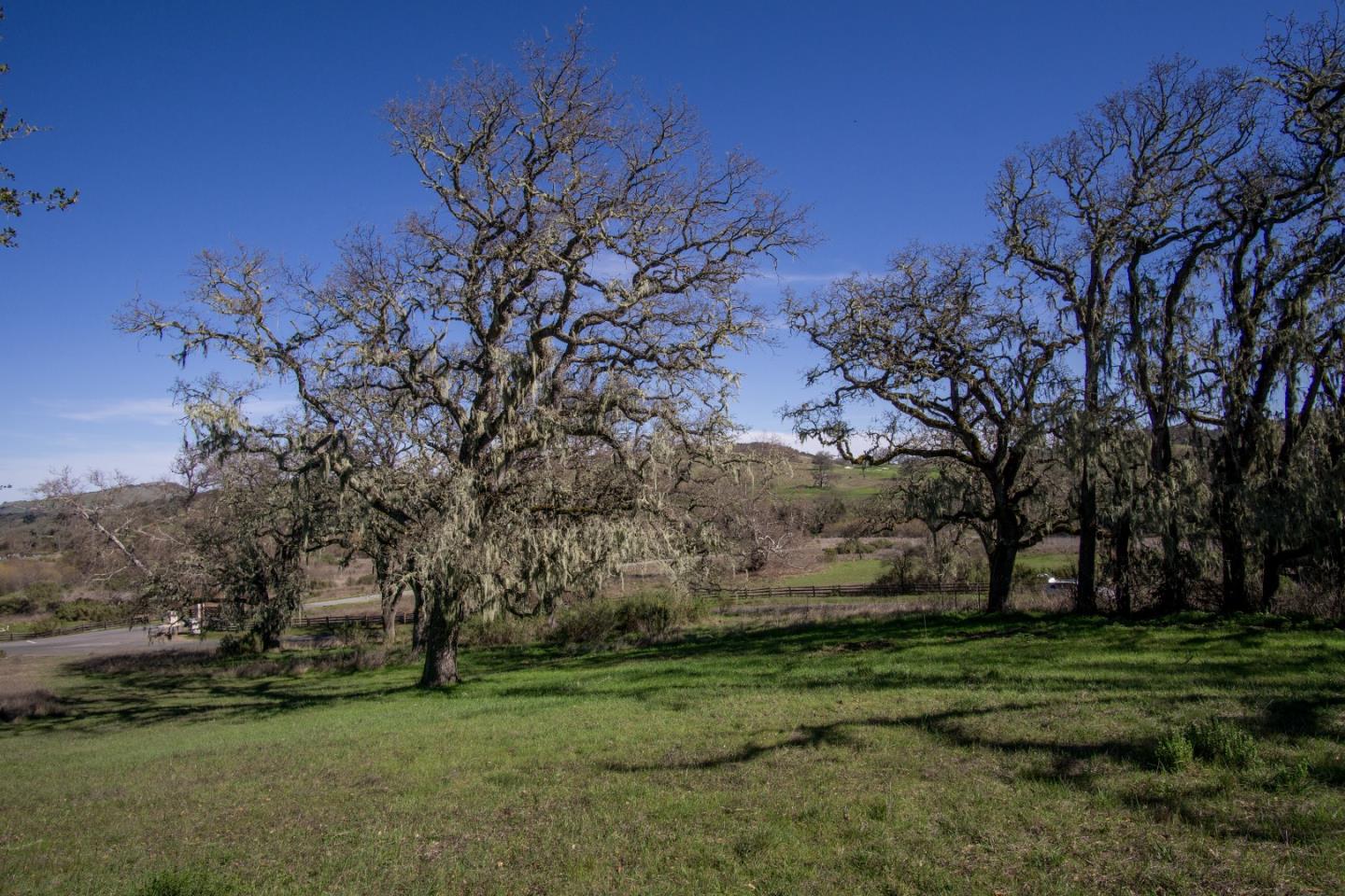 Grassy property with mature moss-draped oak trees and rolling hills beyond.