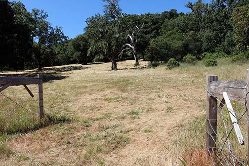Open grassy property with mature oak trees and a rustic wire gate.