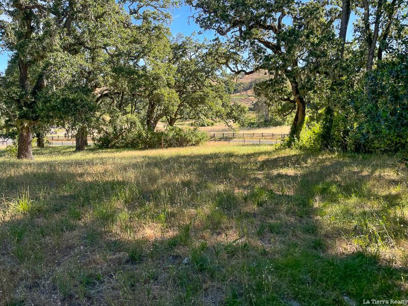Open meadow framed by mature oak trees, with a wooden fence and rolling hills beyond.