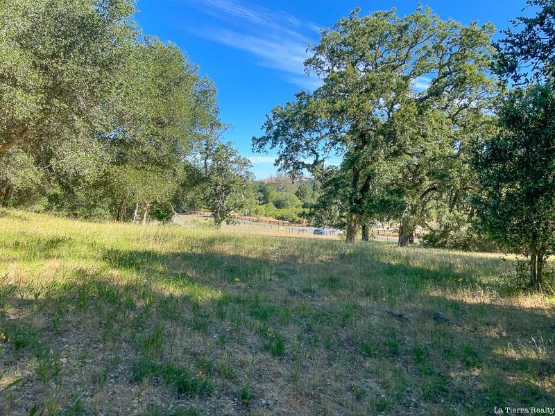 Wooded grassy parcel with mature oaks and a fenced boundary in the distance.