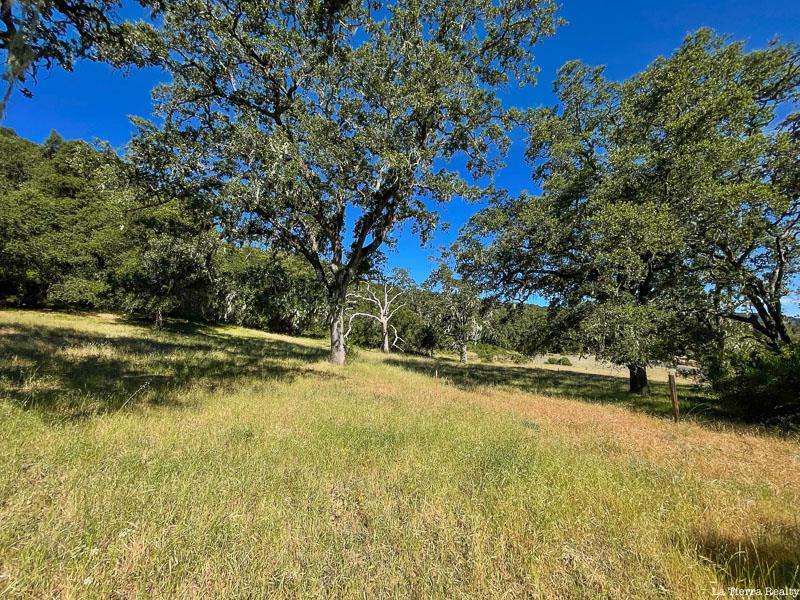 Grassy property parcel beneath mature oak trees, with wooded edges and a clear blue sky.
