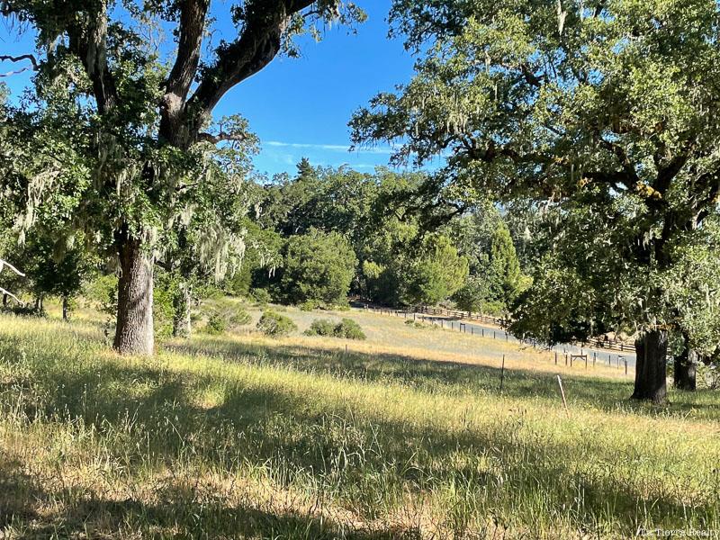 Grassy meadow framed by mature oak trees, with fencing across the open field.