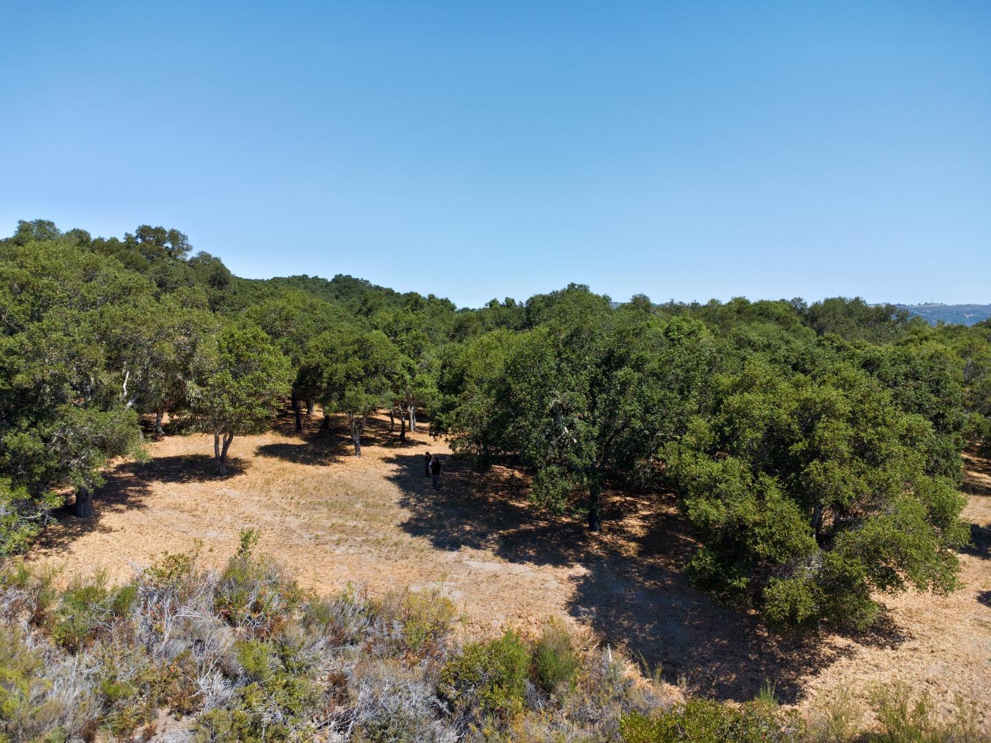 Wooded property with a dry grassy clearing among oak trees and rolling hills beyond.