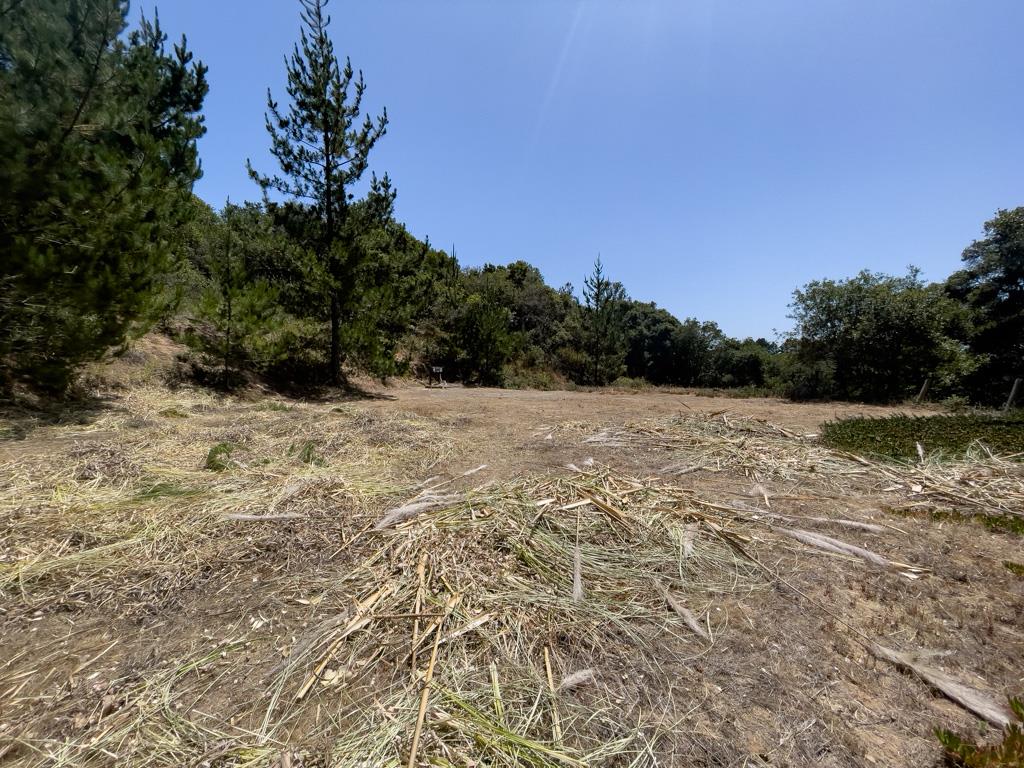 Cleared lot with dry brush in the foreground and wooded hills beyond.