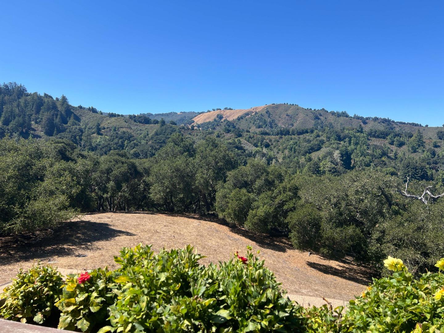 Dry clearing bordered by trees, with rolling wooded hills in the distance.