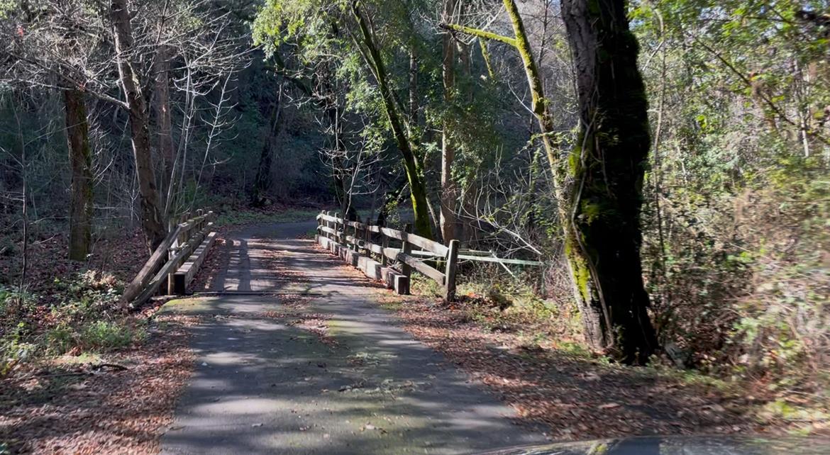 Wooded paved path crossing a small wooden-railed bridge.