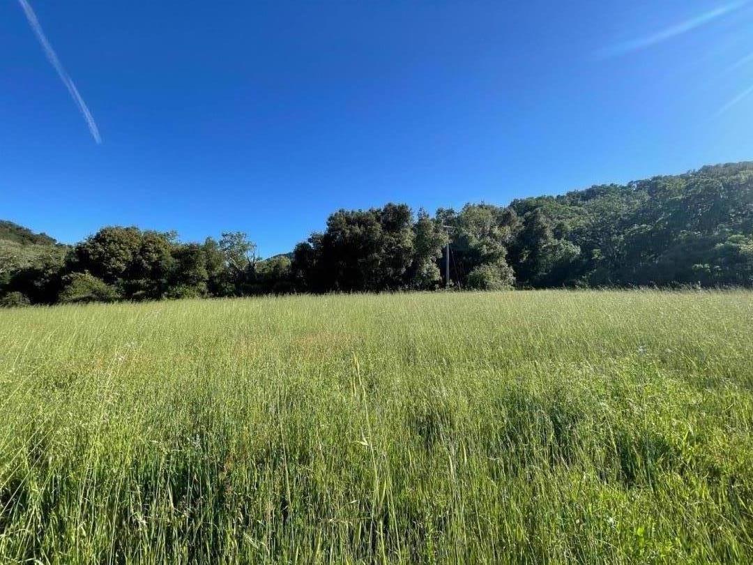Grassy field bordered by trees and wooded hills beneath a clear blue sky.