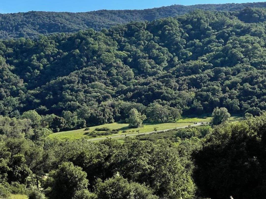 Green valley meadow and road below densely wooded hills.