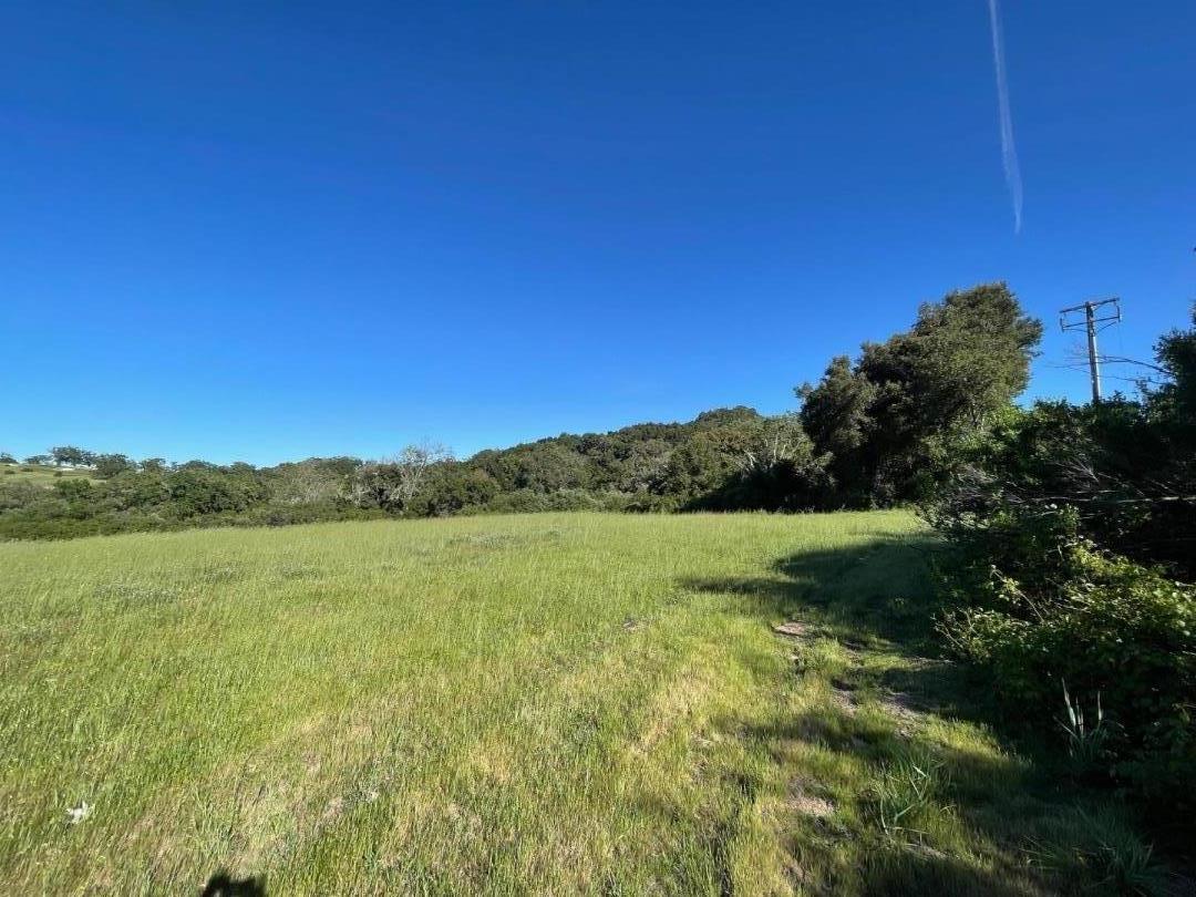 Open grassy field bordered by trees and low wooded hills, with a utility pole at the right.