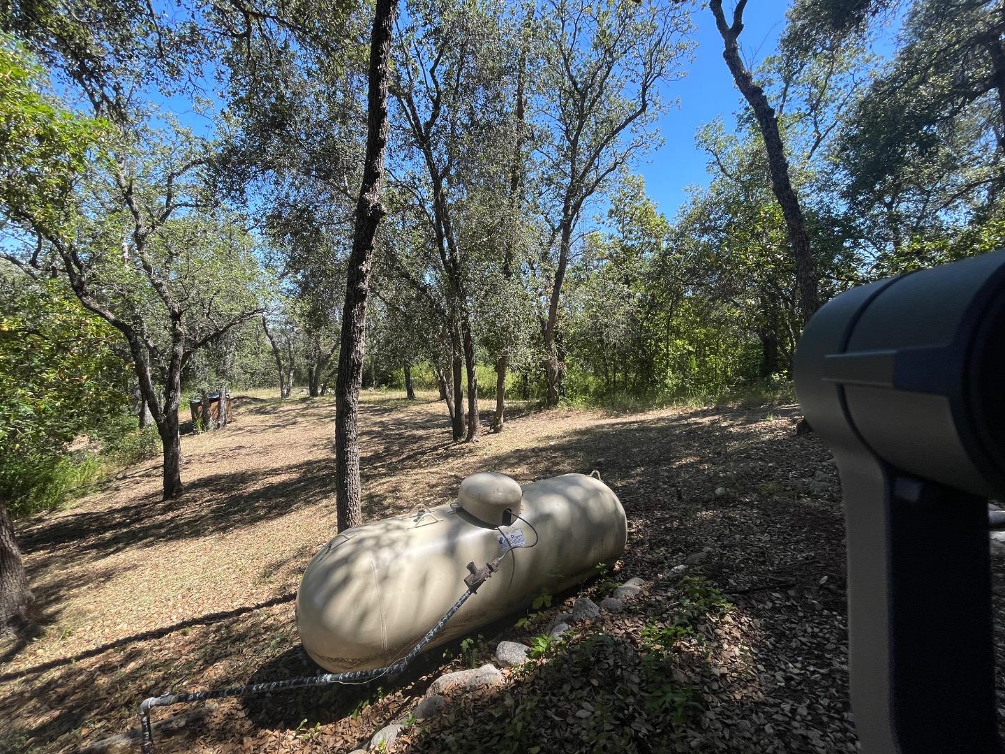 Wooded property clearing with mature trees and a propane tank
