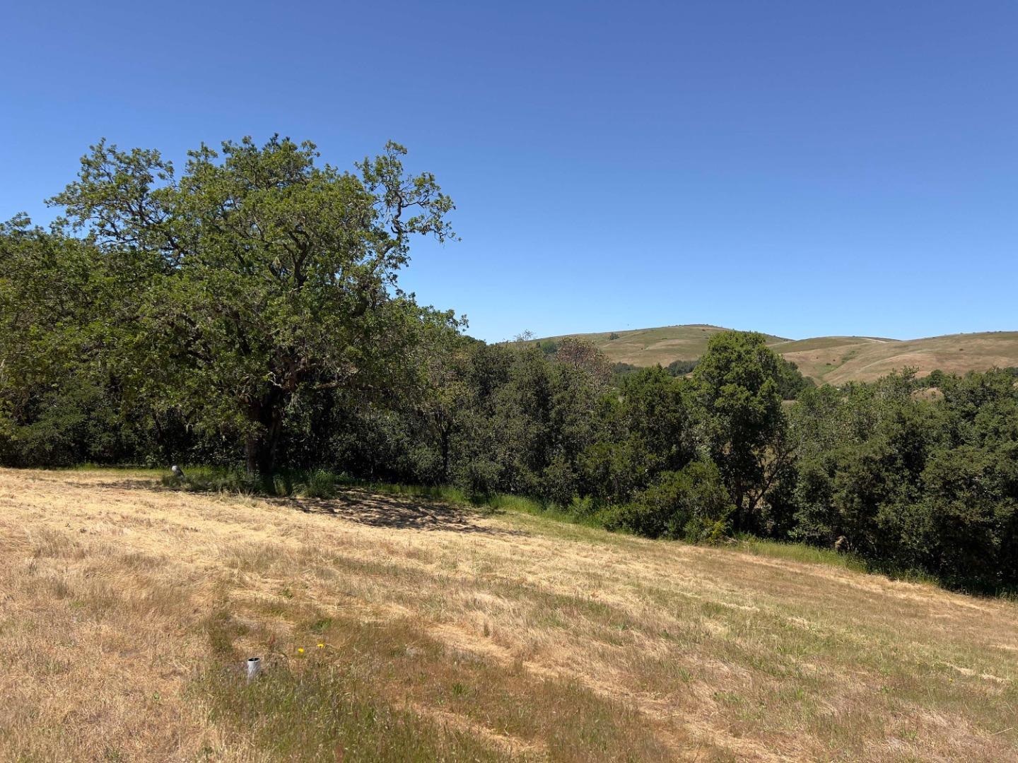 Open grassy lot with oak trees and rolling hills beyond.
