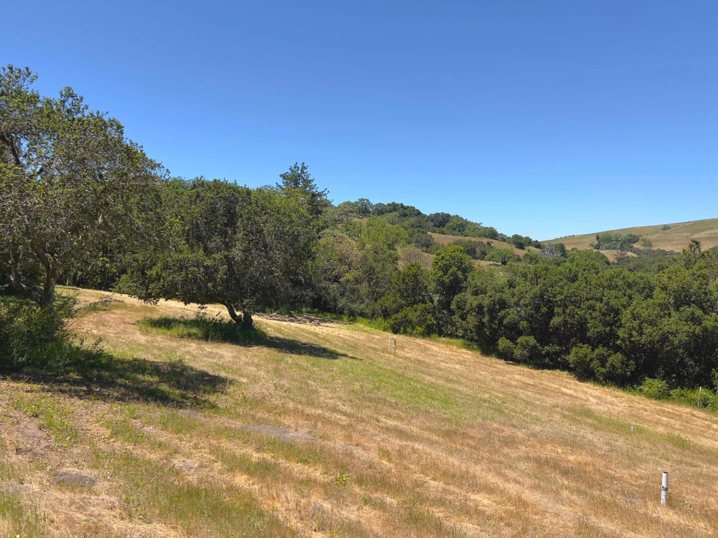 Dry grassy hillside property with oak woodland and rolling hills.