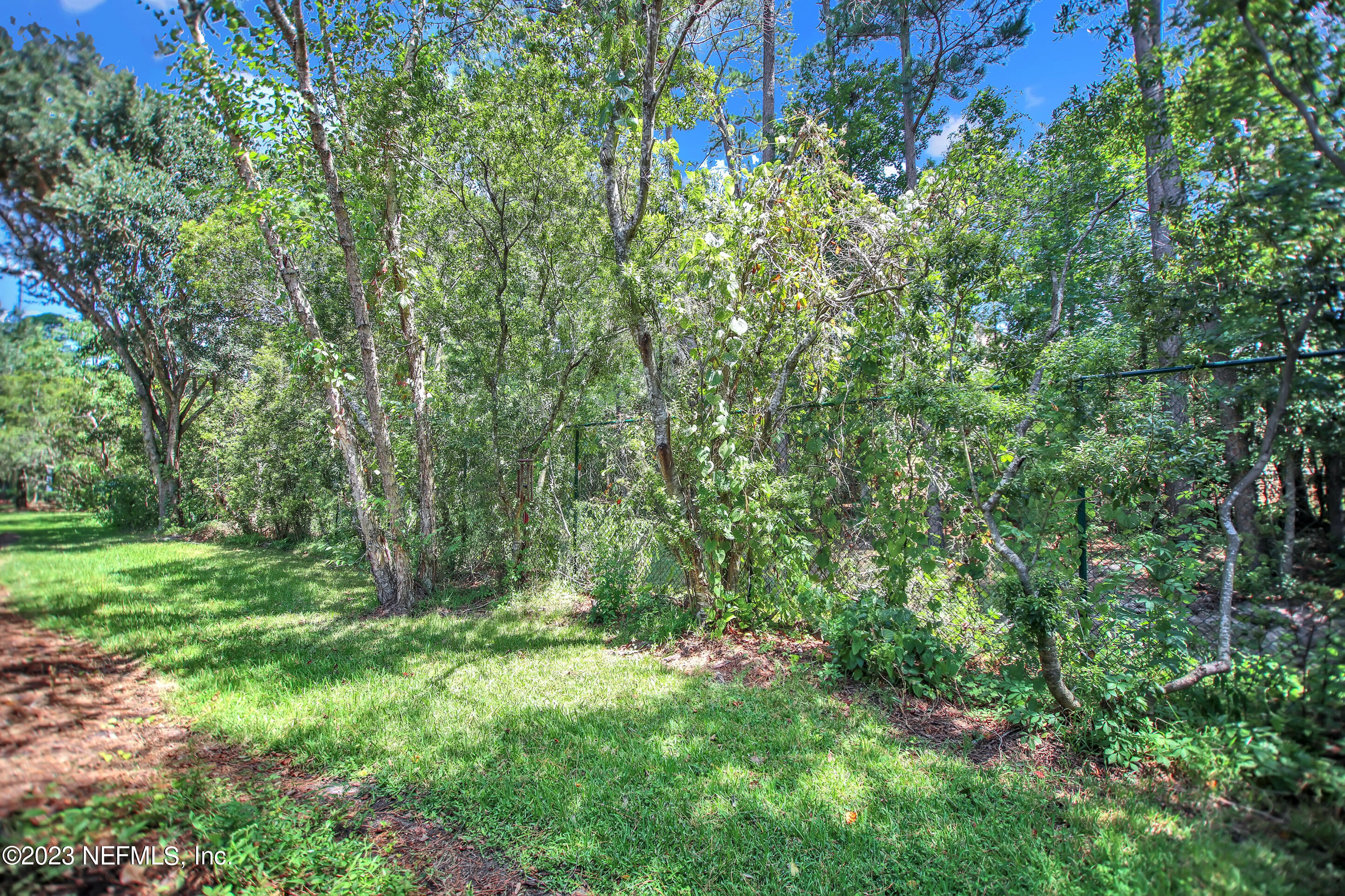 3143 HOLLOW TREE Court