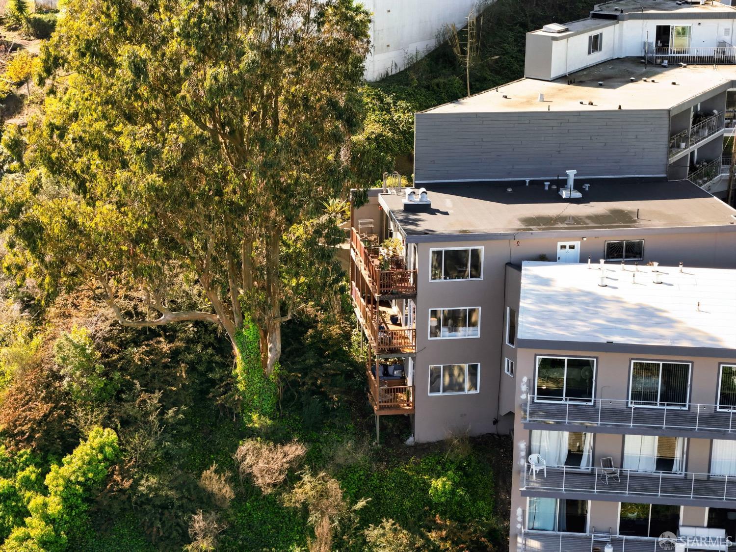 17 Perego Terrace # 7