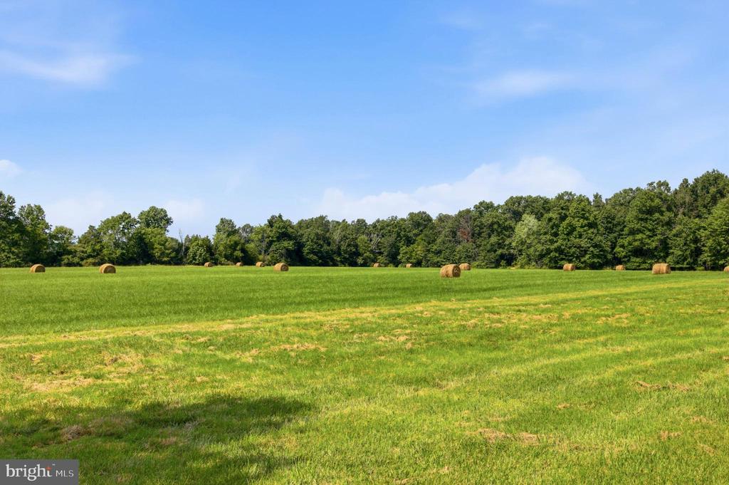 220 SASSAMANSVILLE ROAD
