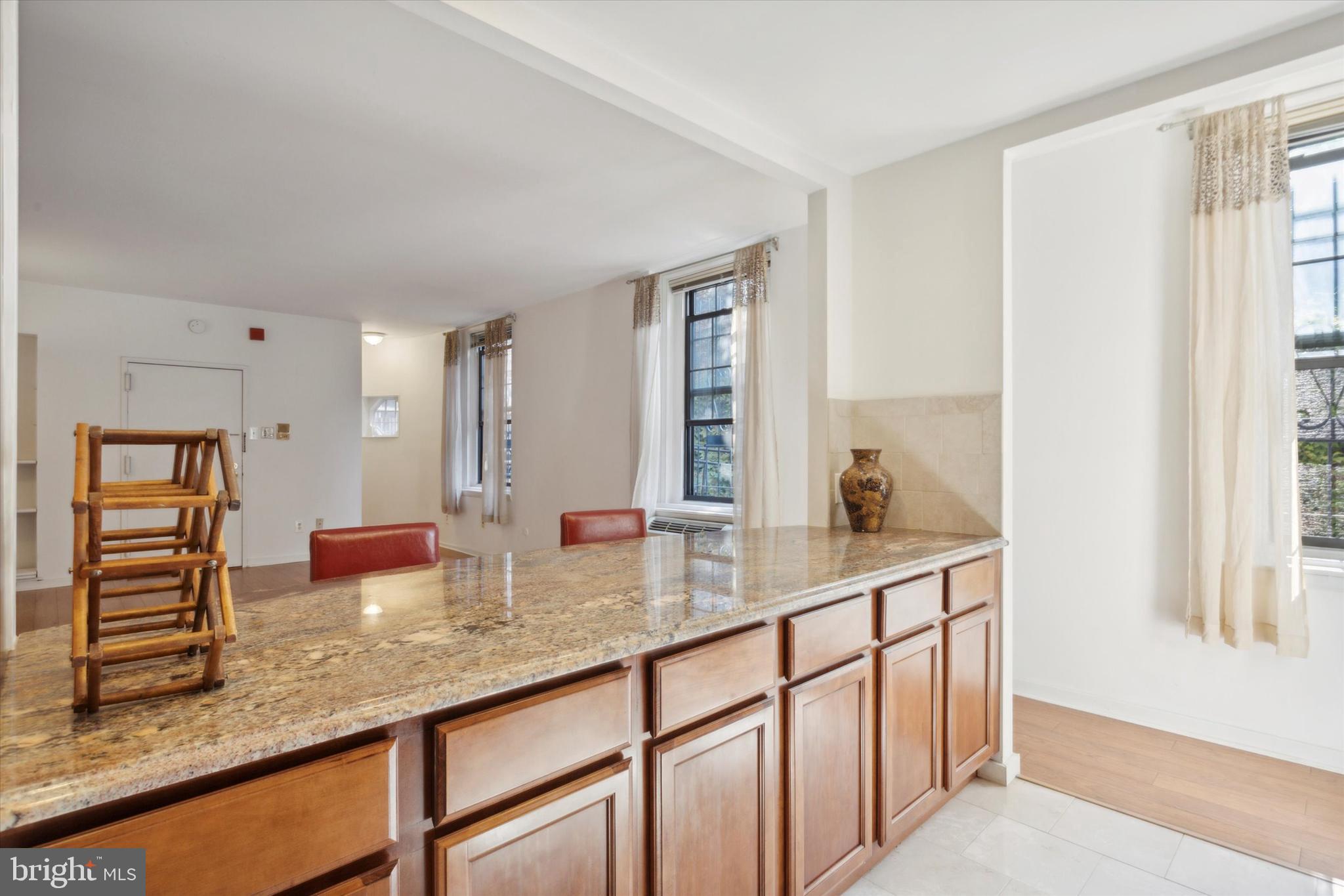 924 SPRUCE STREET 102