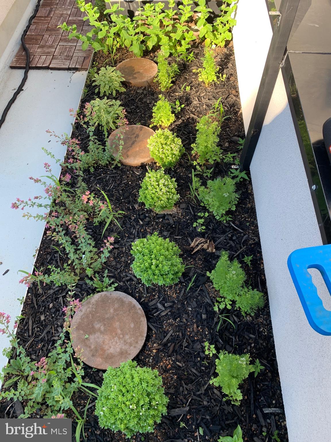 4588 SILVERWOOD STREET