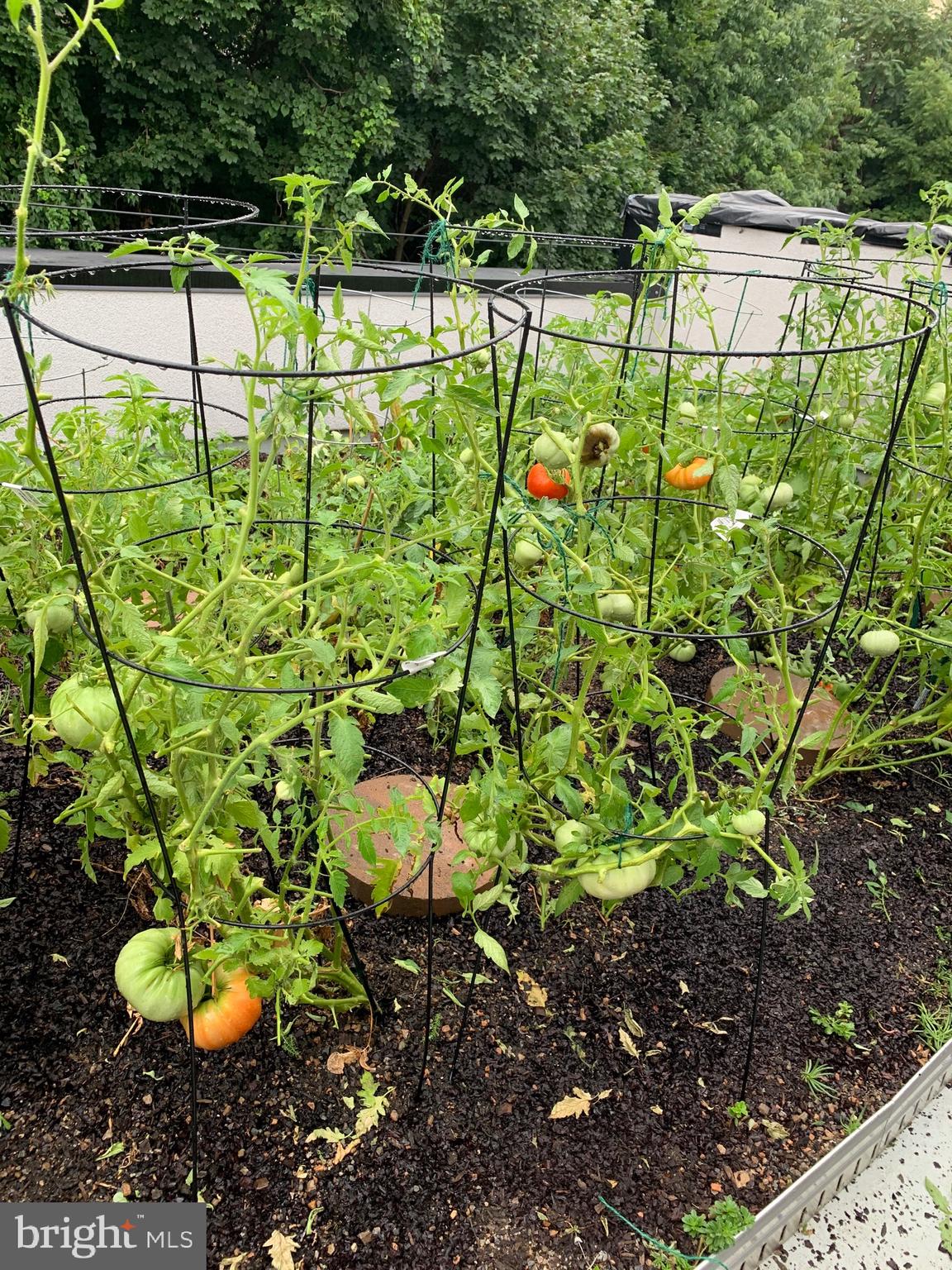 4588 SILVERWOOD STREET