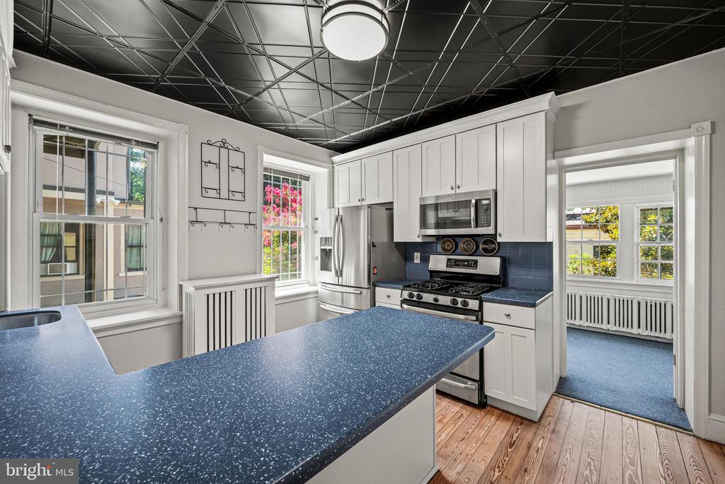 23 W MOUNT PLEASANT AVENUE