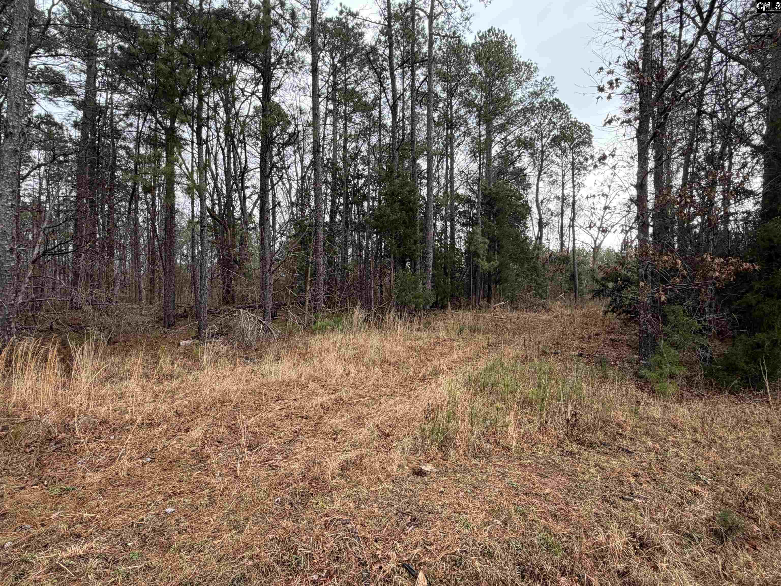 0 Saint Phillips Chruch Road