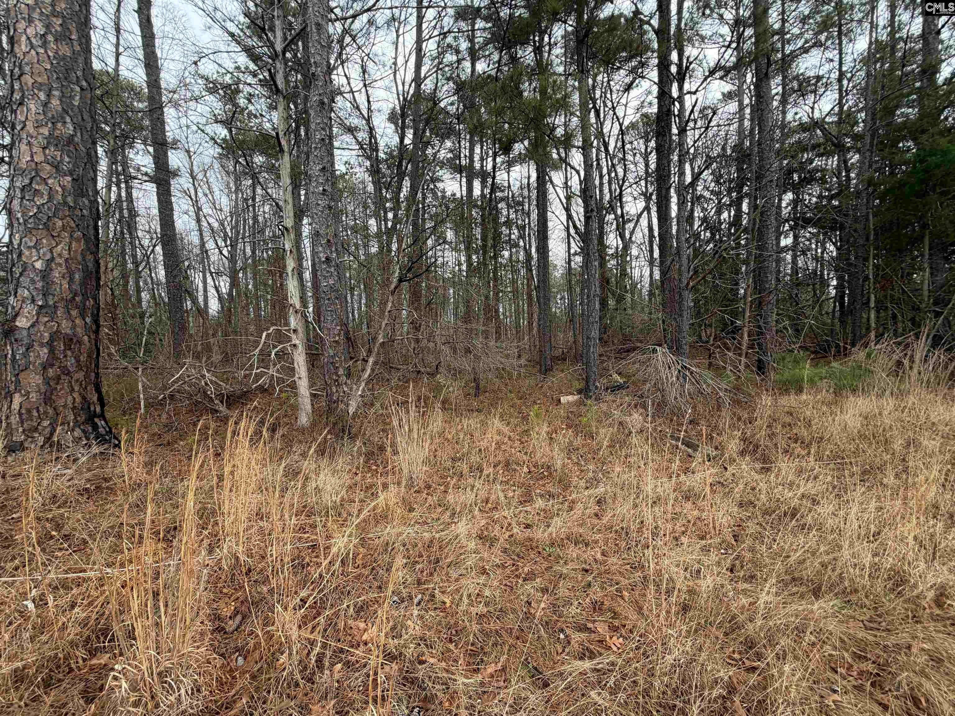 0 Saint Phillips Chruch Road