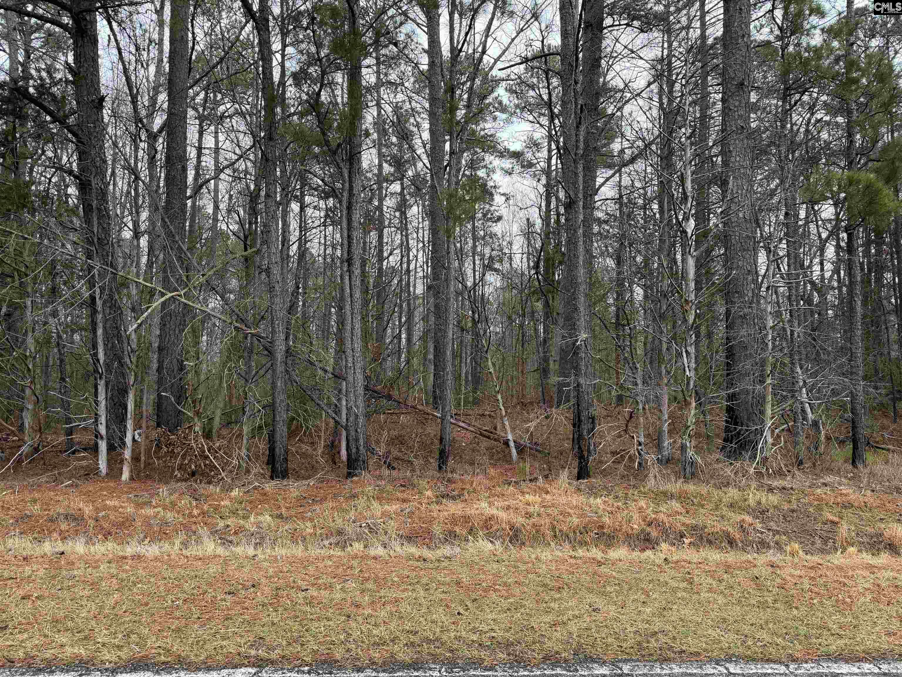 0 Saint Phillips Chruch Road