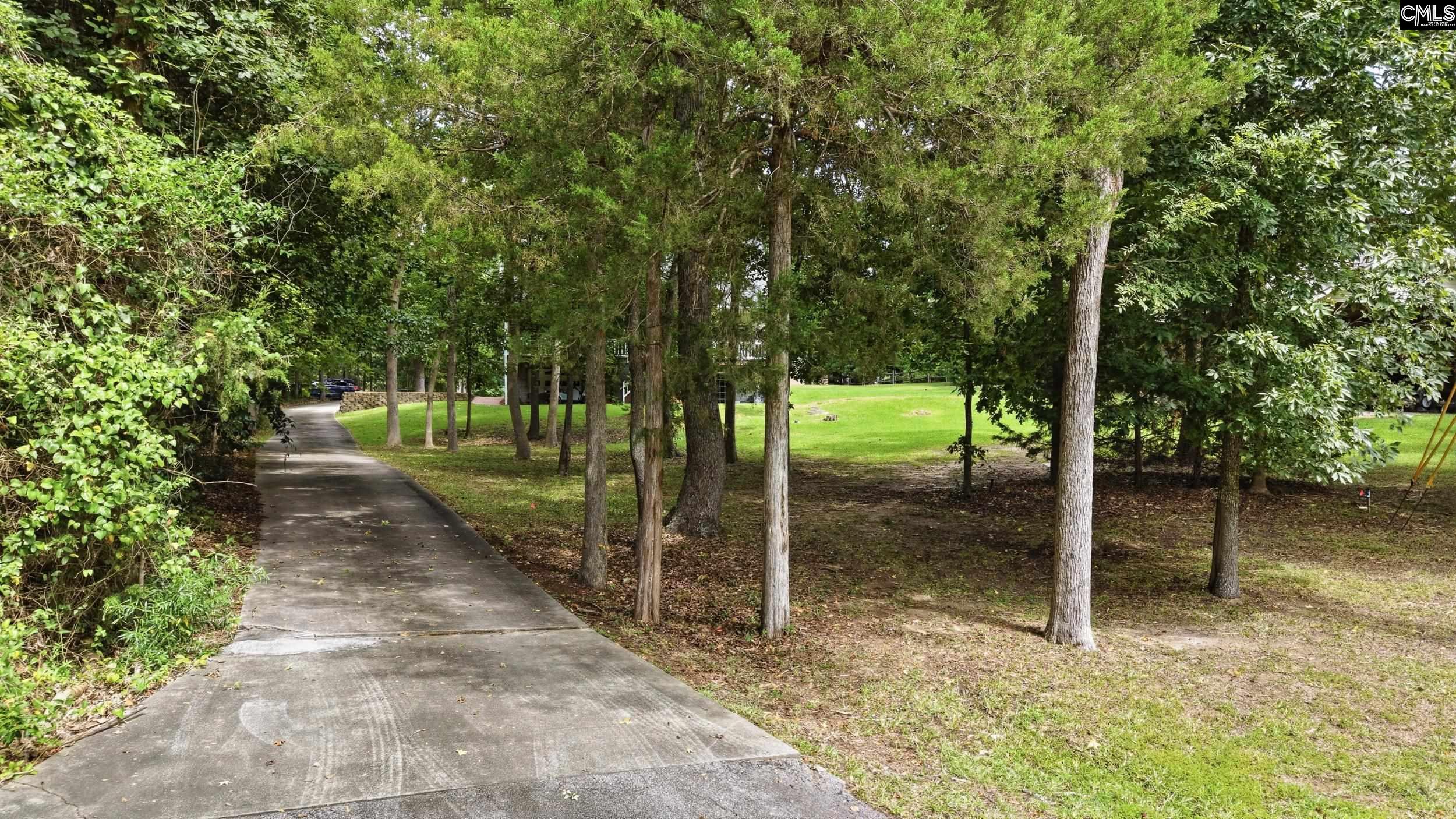 Curving concrete driveway bordered by mature trees and a grassy lawn.
