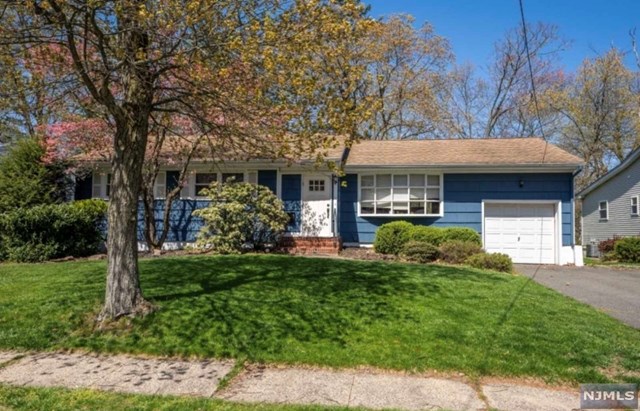 11 Suburban Drive