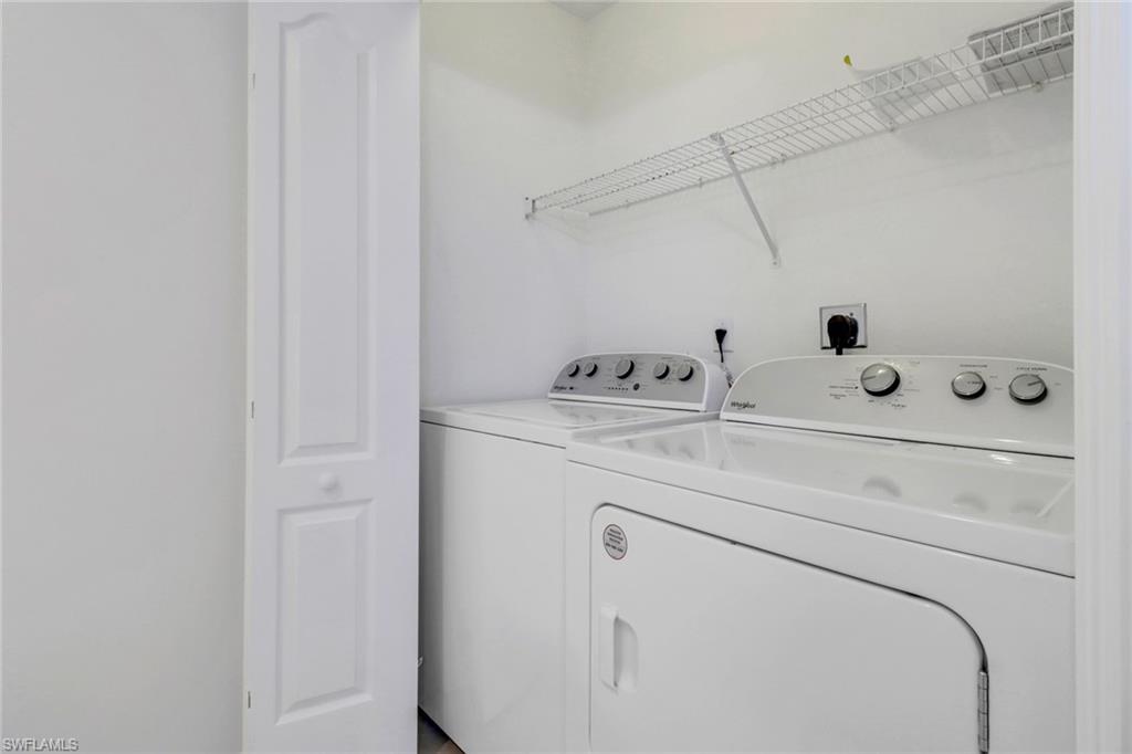 8451 Kingbird LOOP 334