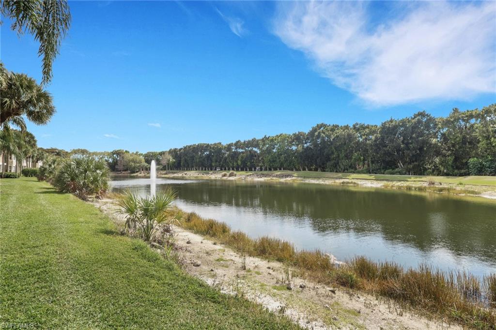 20300 Calice CT 1104