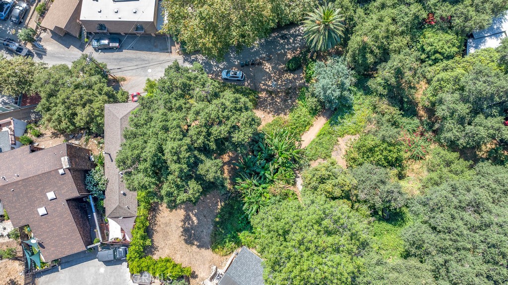 487 Woodland Drive