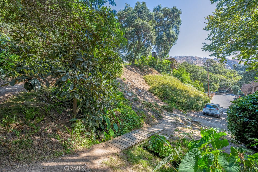 487 Woodland Drive