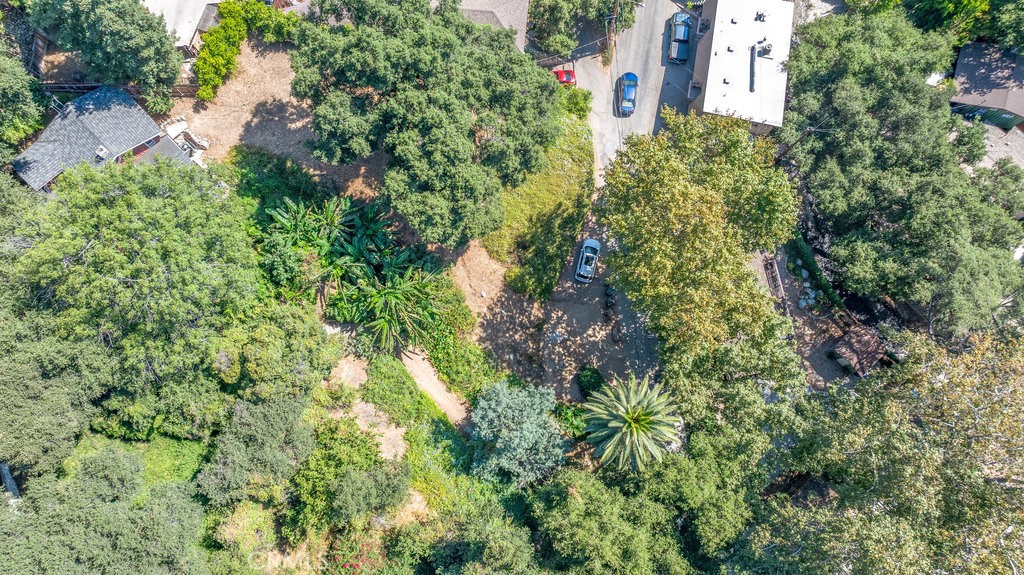 487 Woodland Drive