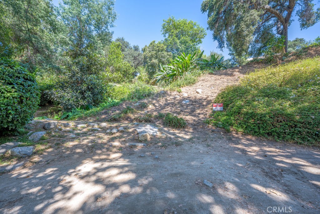 487 Woodland Drive