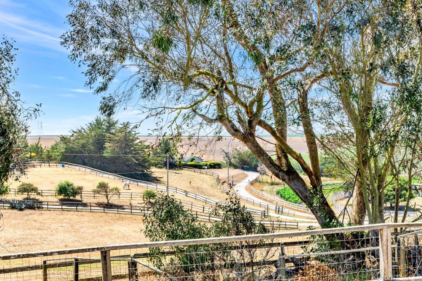 501 Trail Drive