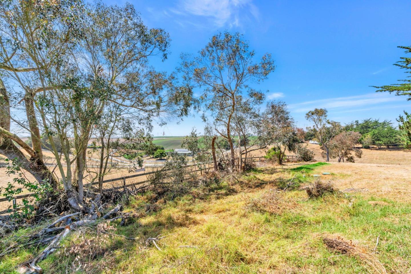 501 Trail Drive