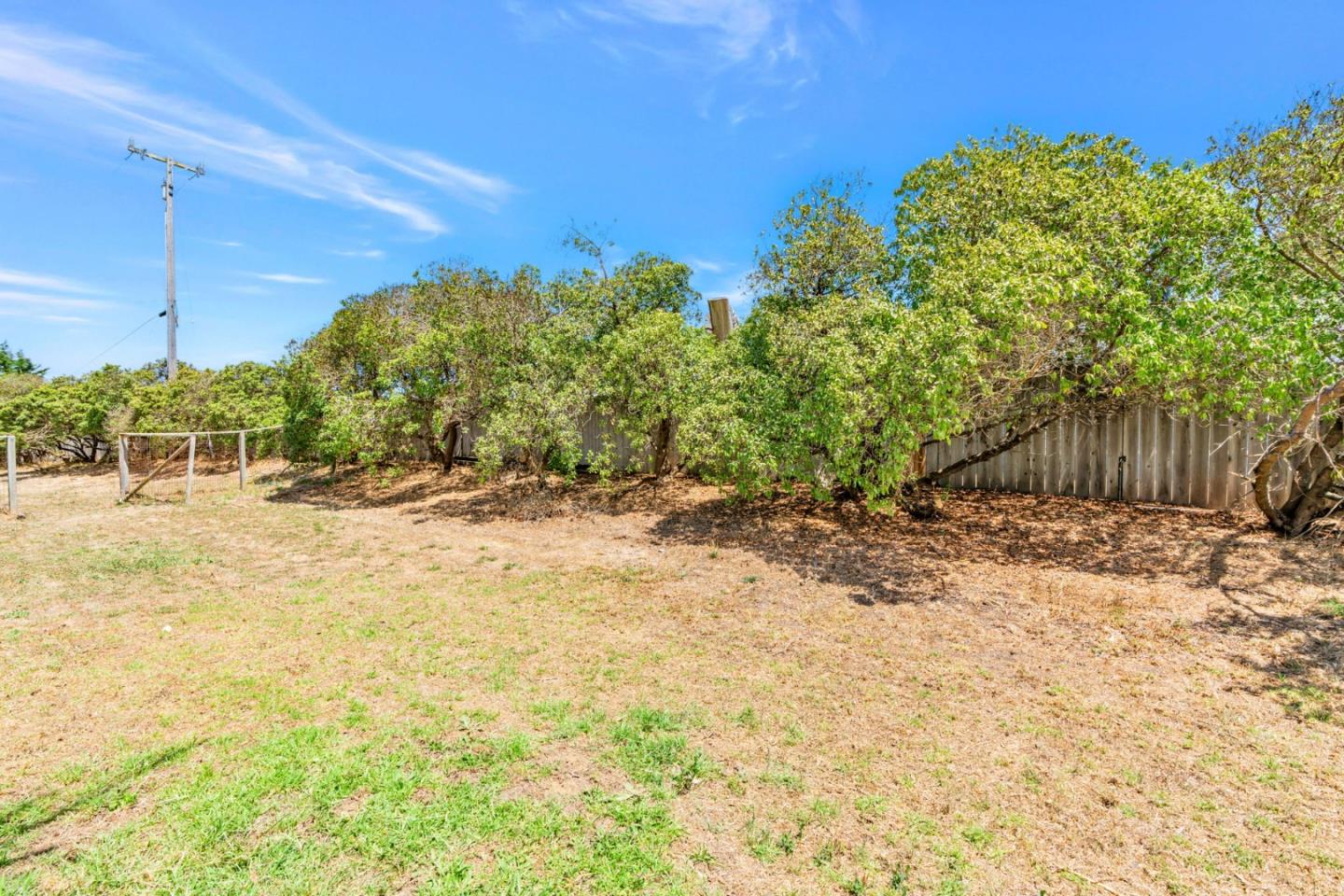 501 Trail Drive