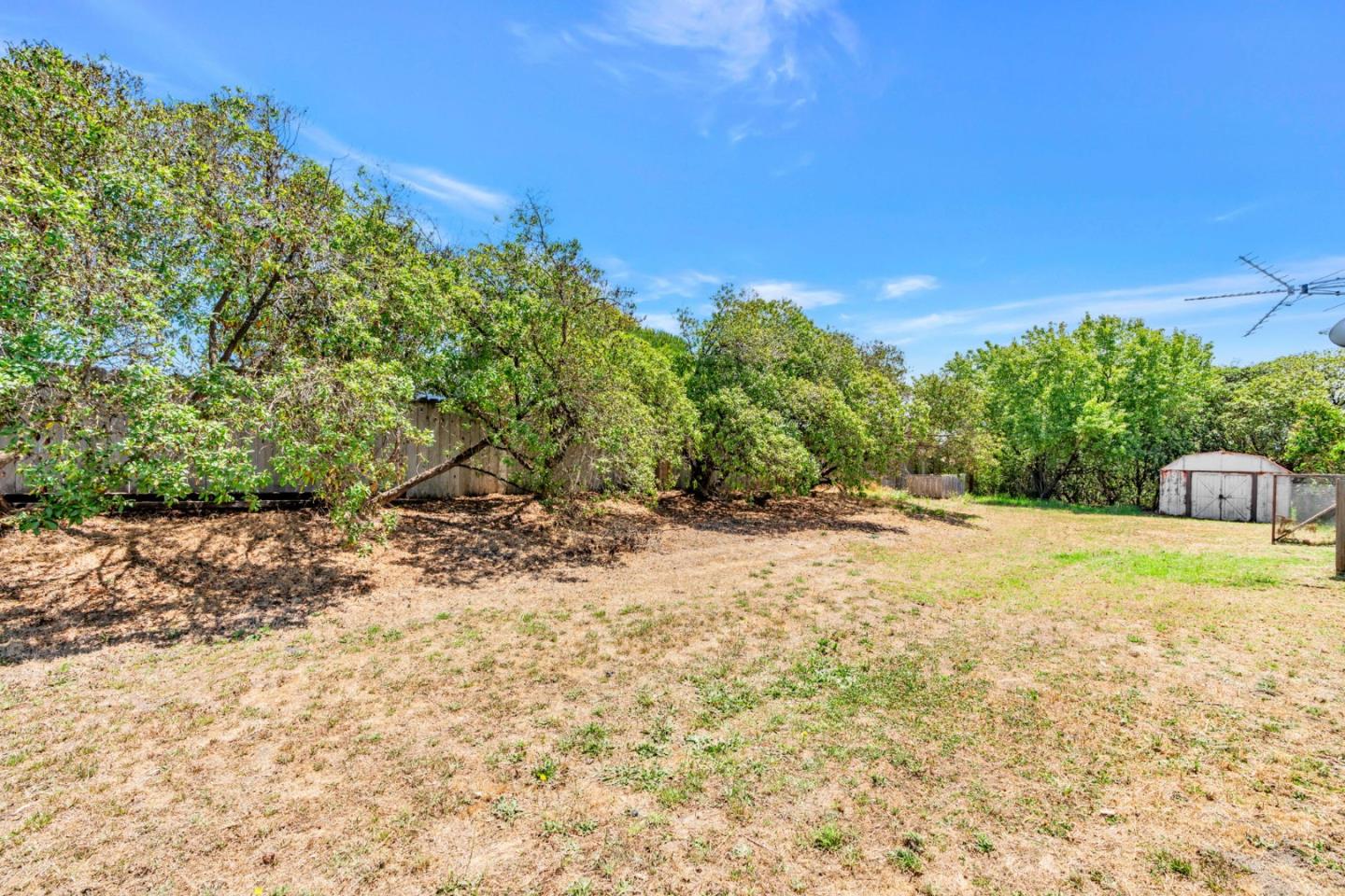 501 Trail Drive