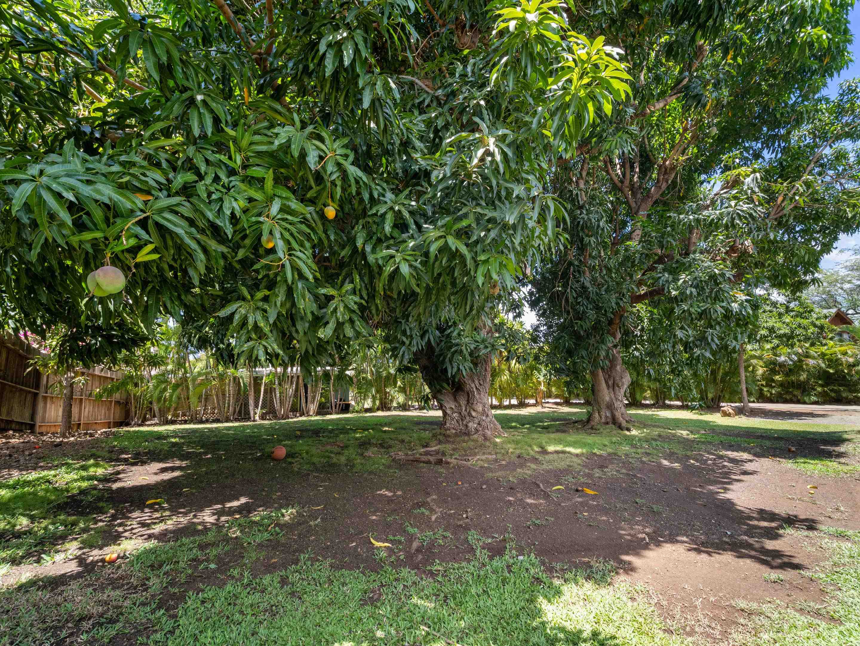 3100 Mapu Pl