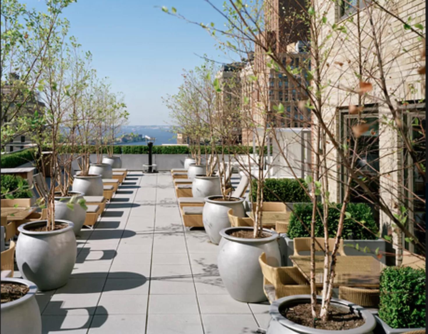 88 Greenwich Street 317