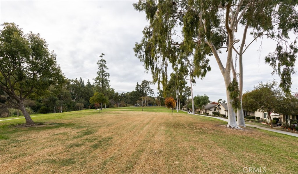 23002 Caminito Brisa 203