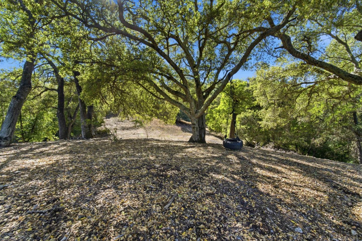 15400 Madrone Hill Road
