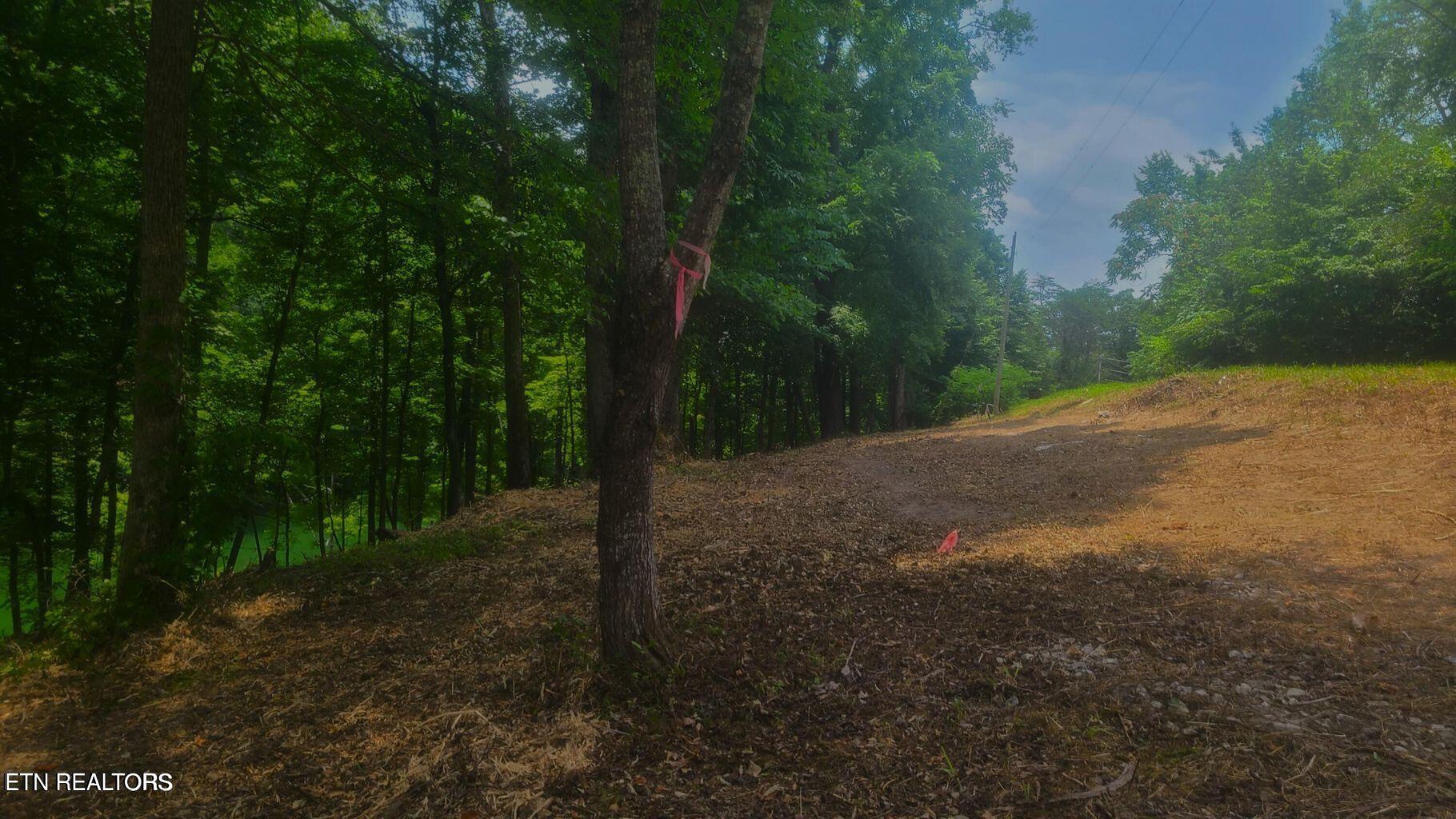 Claiborne Rd, LaFollette