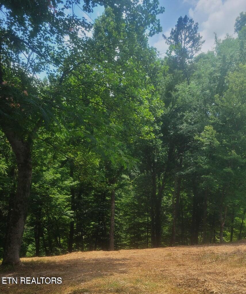 Claiborne Rd, LaFollette