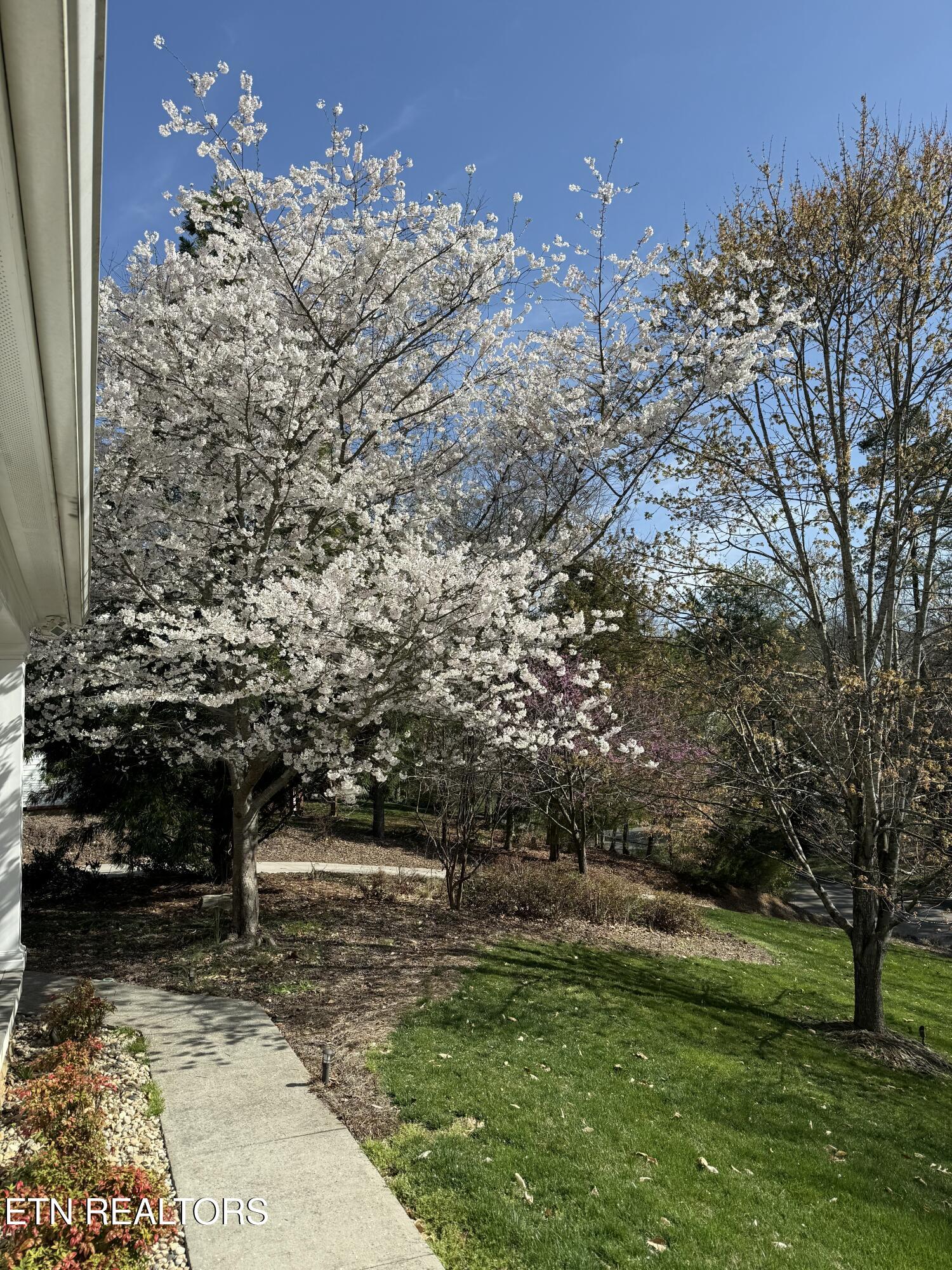 186 Lake Crest Drive