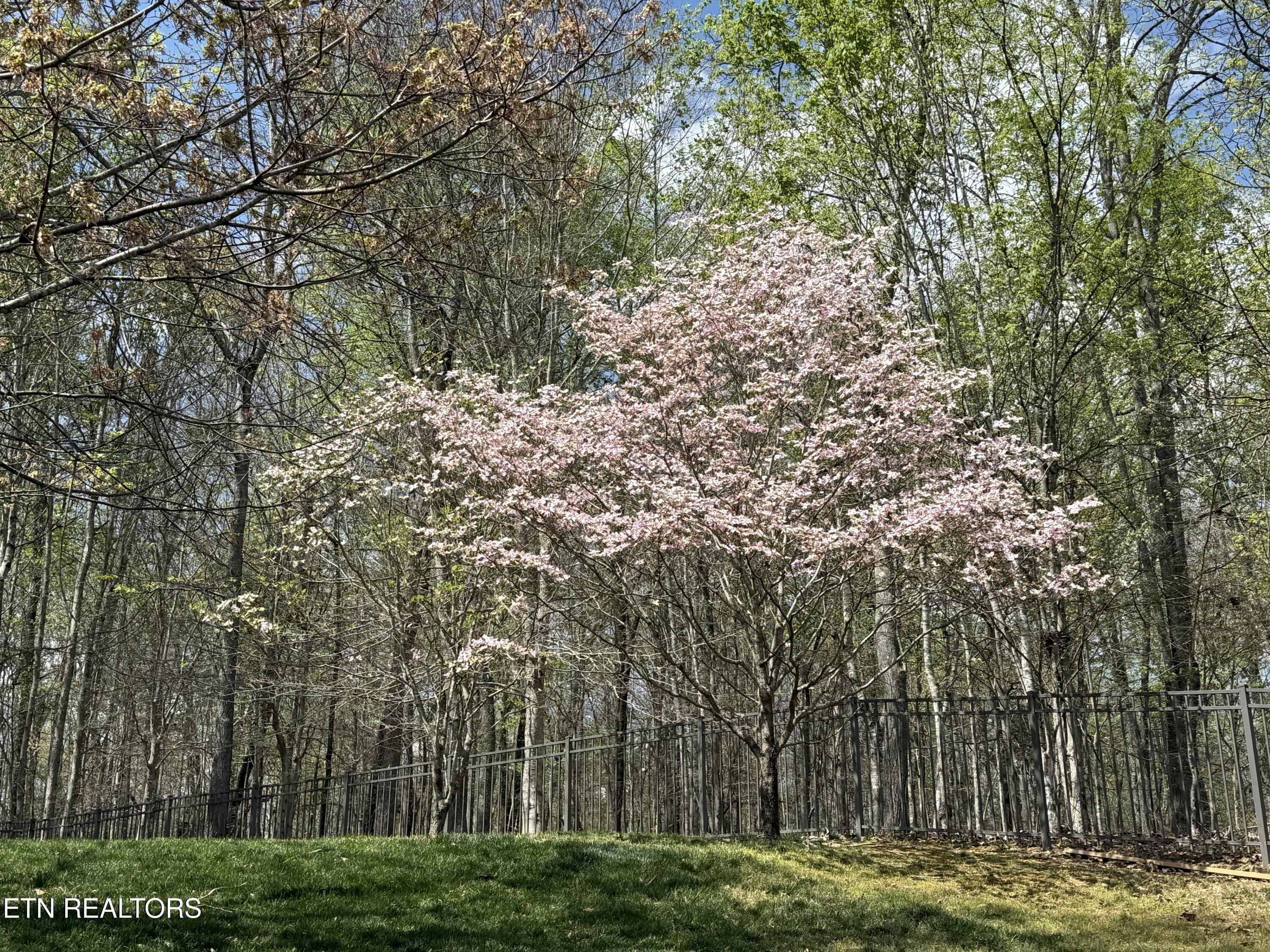 186 Lake Crest Drive